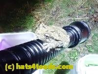 /home//u458753944/public_html/sourcegallery///////Roxborough Toad Detour/2022/2022-04-26/P4261110.JPG